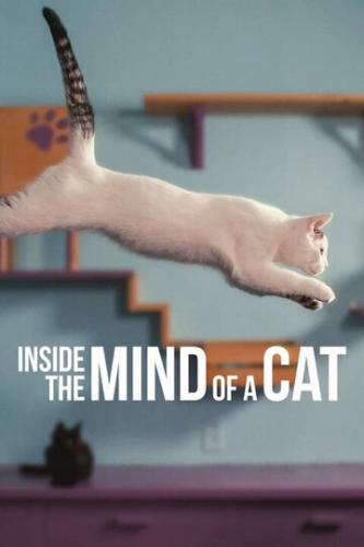 Внутри разума кошки / Inside the Mind of a Cat (2022)